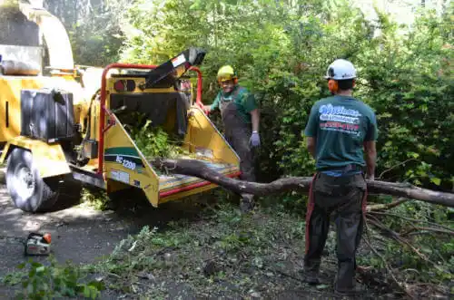 tree services McConnell AFB